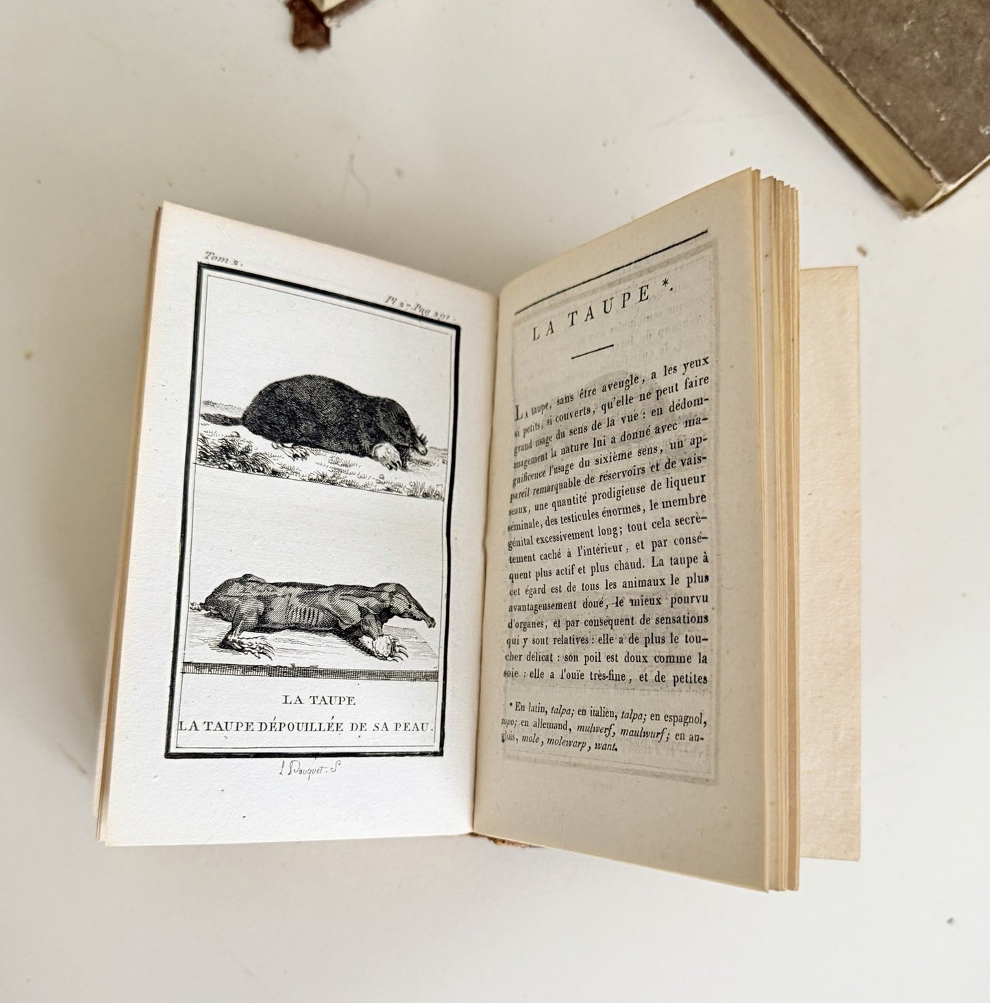 12 Volumes Comte De Buffon Natural History 1788 Leather Spines4