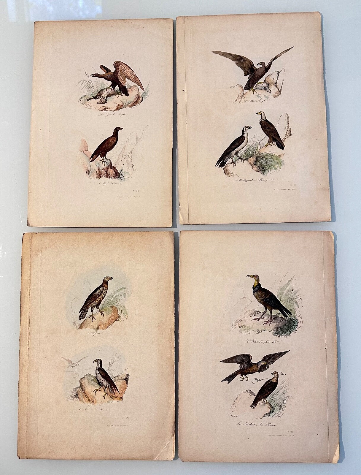 Four Antique HandColoured Prints Buffon Adam 1841 Birds Eagles Buzzards0