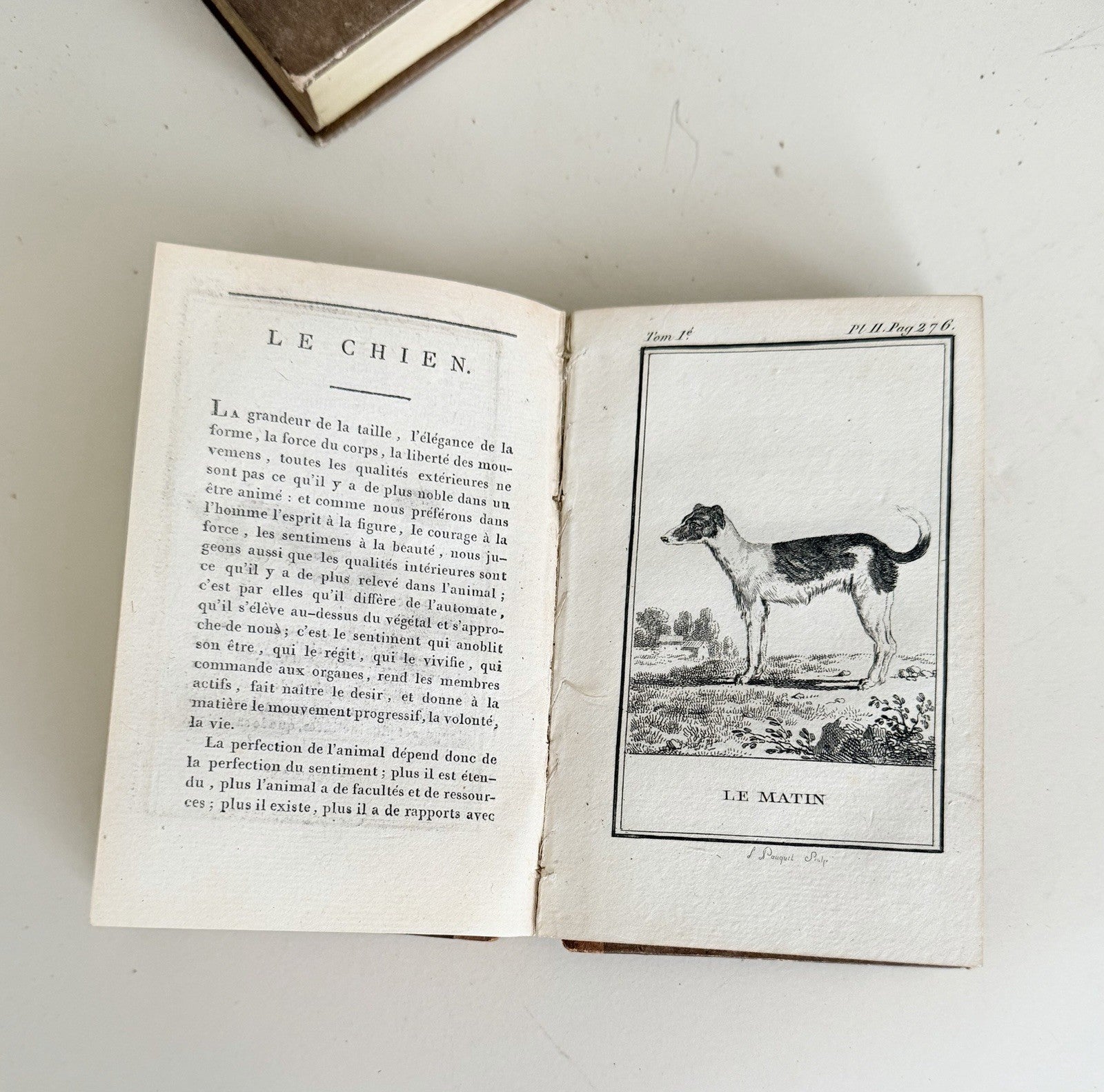 12 Volumes Comte De Buffon Natural History 1788 Leather Spines3