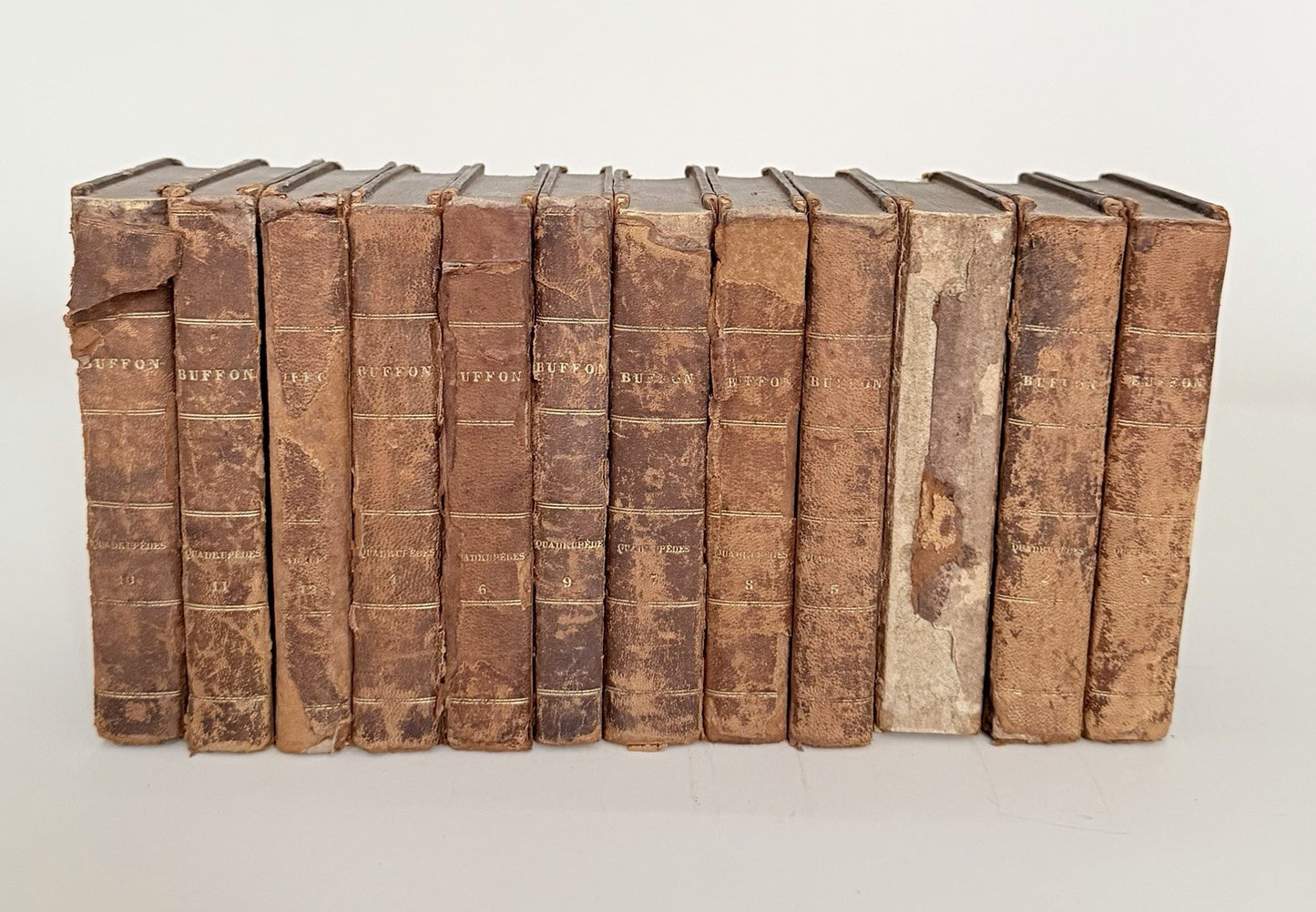 12 Volumes Comte De Buffon Natural History 1788 Leather Spines5