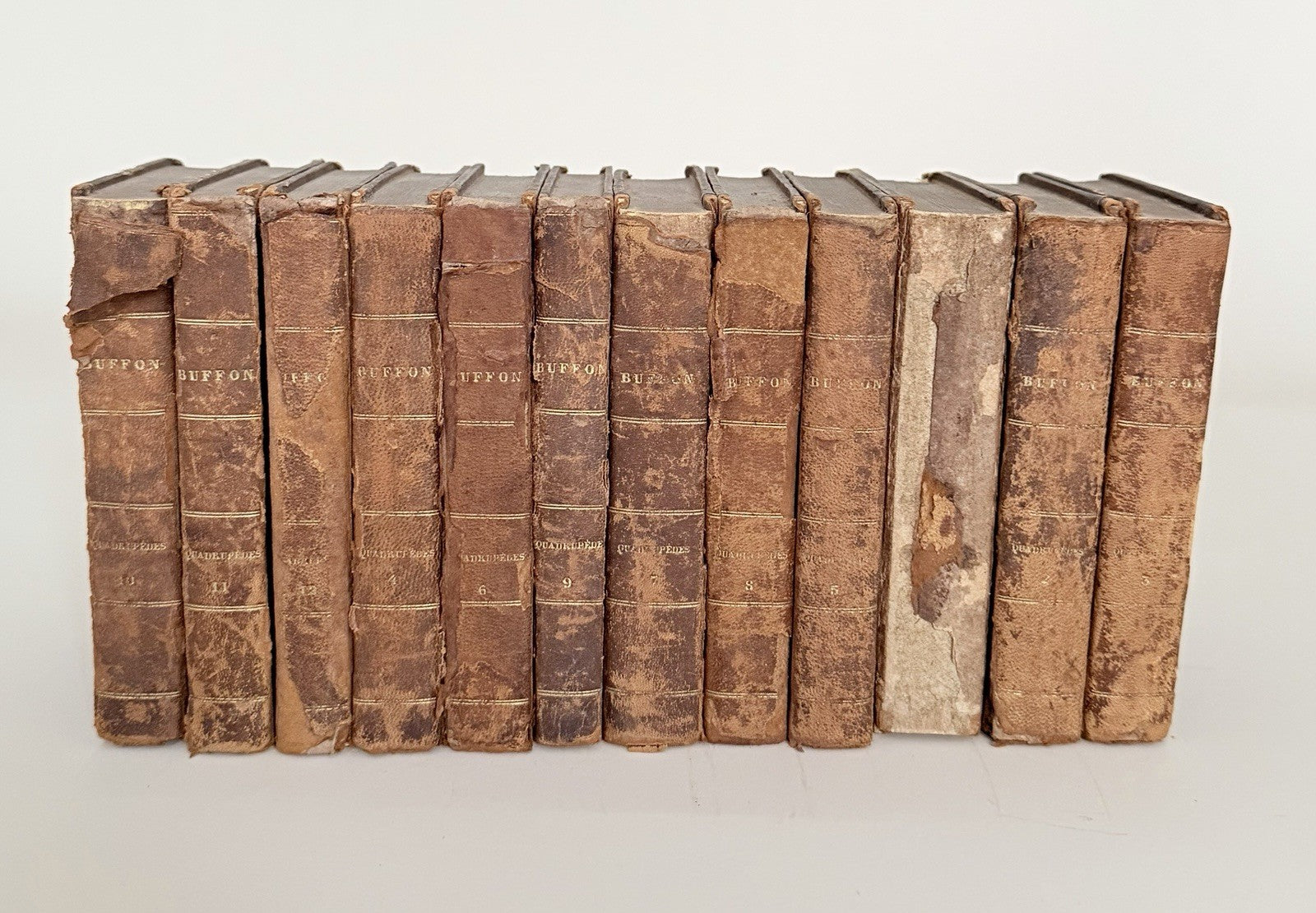 12 Volumes Comte De Buffon Natural History 1788 Leather Spines5