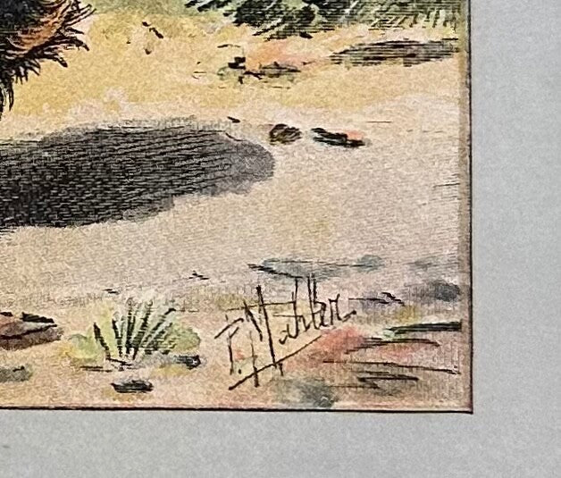 Antique 1907 lithograph colour print P. Mahler dog breed longhaired Dachshund2